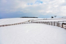 “로맨틱 겨울농원 보러오세요”…상하농원 공모사진 전시회