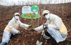 유한킴벌리, ‘신혼부부 나무심기’도 비대면으로