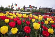 용인자연농원→에버랜드 개장 45주년 2억5700만명 찾았다