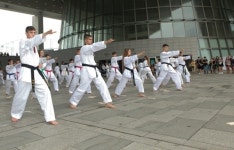 국제 태권도 사관학교 설립 추진위원회 발족