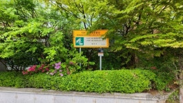 동작구, 지진옥외대피소 44곳에 사물주소판 설치