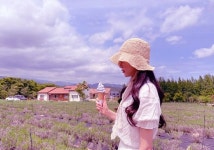 강원도 고성 6월 보랏빛 여행…라벤더팜,왕곡마을,아야진..