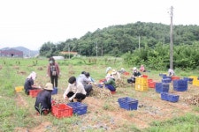 화성도시공사, 노사합동 농가 봉사