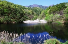 대구여행 ‘신상’들, 서원 미디어파사드,별빛캠핑,아양기찻길