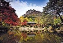 자연을 철학하는 시간...인문학 마음방역 ‘옐로 시티’ 장성