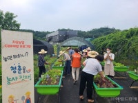 강동구치매안심센터, 치유농업 프로그램 성료