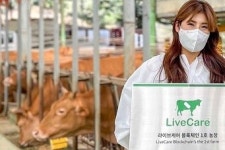 유라이크코리아, 블록체인 기반 한우 사육농장 열어