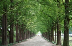 이몽룡이 왜 담양서 나와..터질듯한 인문학, 속시원한 죽림욕