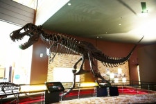 해남 공룡박물관 보호각 바닥교체···10월 초까지 관람 통제