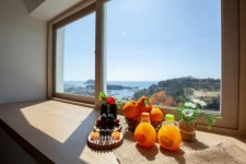 세계 ‘개의 날’ 8월26일, ‘펫 프렌들리’ 호텔 7선