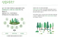 오감을 깨우는 산림치유 프로그램, 골라 가는 ‘꿀잼’