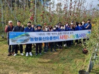 농협울산유통센터, 애플팜 사과따기 농촌일손돕기