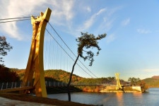 ‘장어맛집’ 장성호 미락단지가 뜬다!