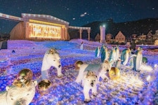 새해소원 만천하에 고하기…에버랜드 럭키박스 출시도