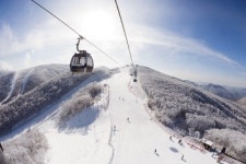 동계올림픽 추억의 그 곳...정선 ‘하이원스키장’ 개장