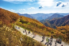 운탄고도 하늘길 트레킹, 도롱이연못 애환 품다