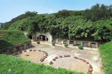 사계절 산소 뿜는 그 곳...걸음걸음 힐링 되는 그 길