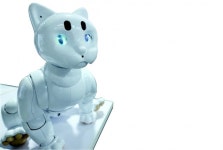 비서로 웨이터로 일꾼으로…로봇, 인간세상에 오다[디자인 플러스]