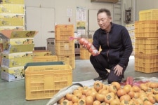창원·포항 특산물이 ‘티몬 속으로’…협업 농가 가보니 [르포]