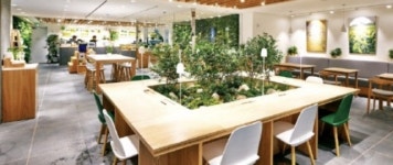 카페그린그린cafegreengreen | 제주 빼고 다 접었다…‘이니스프리 그린카페’ 철수 [언박싱]