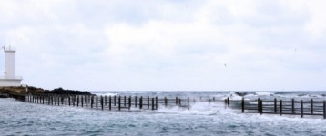 SNS 명소 ‘제주 바닷길’, 결국 사고 우려 출입 제한