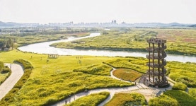 서해랑길 MZ 핫플, 당진 신리성지·명량·시흥 갯골..