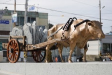 김철우 보성군수 “‘뜨끈뜨끈’ 온기 주던 구들…채석장을 국가등록문화재로”