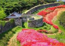 “꽃길만 걷자”, 한국관광공사 4월 추천여행 6곳