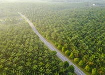 “텀블러를 쓰면 기후 위기를 막을 수 있을까?” 비웃는 자본주의 [지구, 뭐래?]