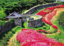 성곽따라 흐드러진 철쭉…넋을 빼는 복사꽃 향…꽃길 닿는 발길마다 ‘봄’