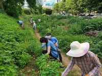 마포구, 도시 농부 육성 위한 도시농업지원센터 운영