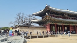 [르포] 꽃명소마다 ‘사람 구경’…“코로나 종식된 것 같다”