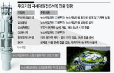 차세대원전 사업 ‘별들의 原戰’ 시작됐다
