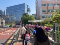 꽃길로 등교하는 어린이