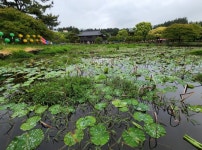 제주 남서 여행③-안덕 서광 별난카페, 월라봉, 법화사