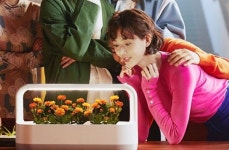 “실패하지 말라고 이런 것까지?” LG 식물생활가전, 숨은 전략 알고보니 [비즈360]