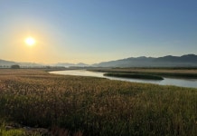 다산의 강진, 임영웅 트롯뮤지컬·티크닉·팜파티로 ‘우아하게’