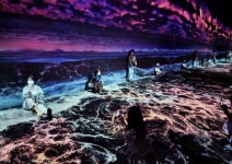 의기 양양! 대청봉~동해 사이 웰니스 건강여행 백화점