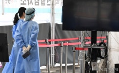 이종간에도 전염이…태국서 ‘고양이→사람’ 코로나 전염 첫 확인