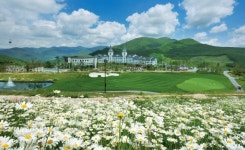 정선 병방치 아페라 선율 속, 하이원 고원 꽃바다 출렁