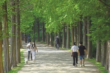 댕댕이와 함께 걷고 쉬고...이 곳에선 당당하개 자유롭개