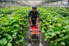 “그 많은 돈 어디다 쓰나?” 2400억원 잭팟 ‘이 남자’ 알고보니