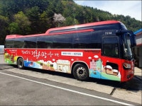 하이원, 삼척·영월·태백·정선 관광지 연결버스 운행