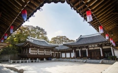 ‘할매니얼’ MZ 싹다 모여~ ‘고호재 클럽’ 조선팝 나이트로