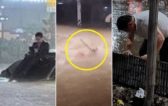 서초동 현자·신림동 펠프스·강남역 슈퍼맨…100년만 물폭탄 진풍경