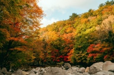 유네스코가 제주에 주목한 이유..가을 관광 10선①