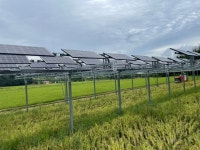 “농경지 5%만 써도 전국민 90% 전력생산”…환경·농촌·국민 모두 사는 ‘영농형 태양광’ 현장 가보니 [비즈360] 