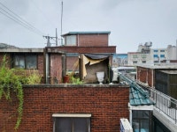 “매년 부서져도 수리 안 해” 불안한 옥탑방 주민들 [힌남노 강타]