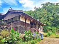[가을정원 여행] 세계유산 안동 봉정사 영산암 마당가든
