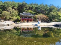 마음 웅장해지는 신선처럼 살아보기..함양 등 15곳 생활관광